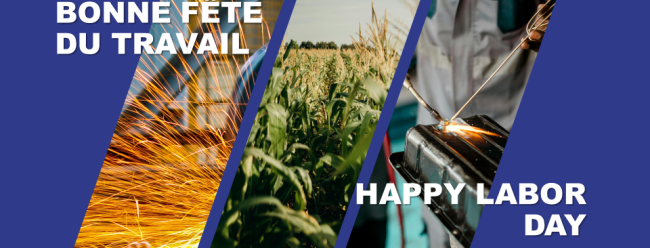 Naviguer dans le labyrinthe des marchés publics au Cameroun